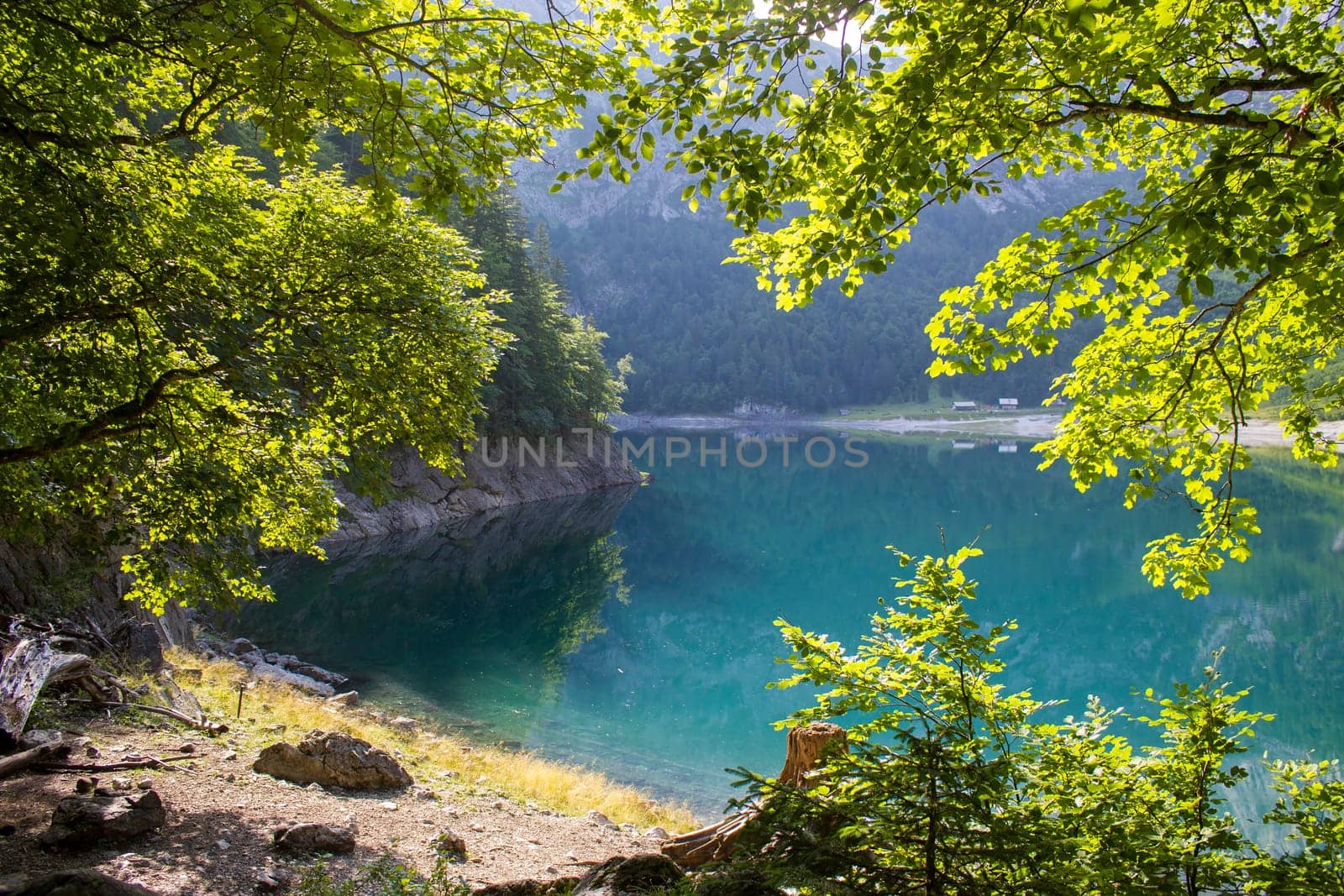 Gosau Lake in the Austrian Alps of the Dachstein region (Styria in Austria)
