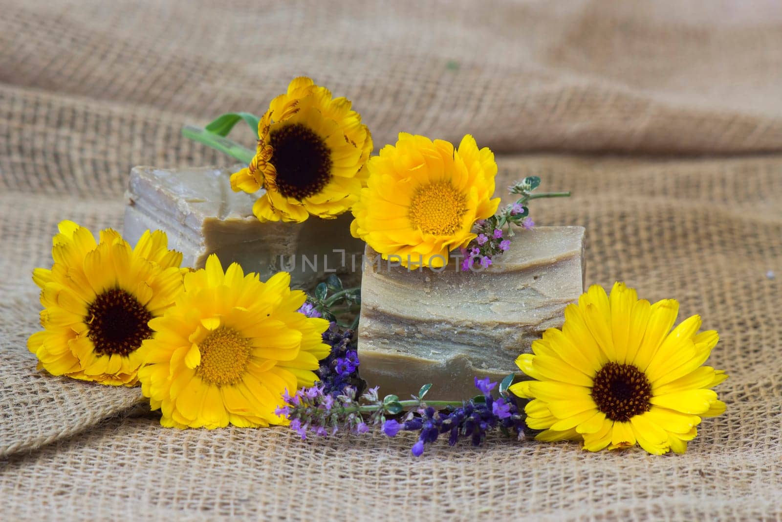 Natural handmade soap with calendula, lavender and herbs on rustic wooden background
