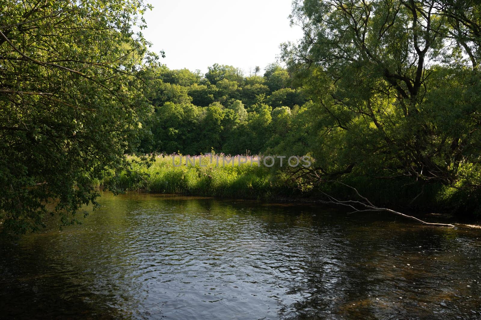 The Eder - A river in Germany in a green landscape