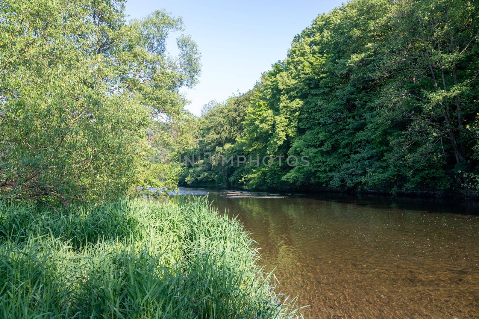 The Eder - A river in Germany in a green landscape