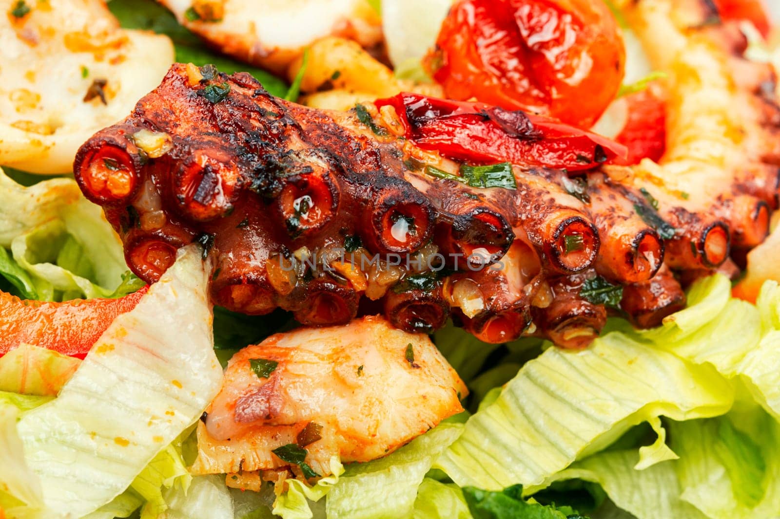 Mix salad of vegetables, herbs and octopus tentacles