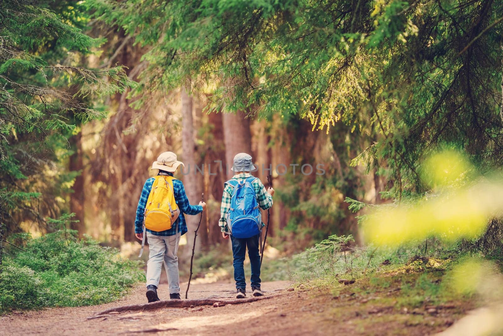 Two boys with backpacks hiking together in the wilderness forest. Concept of the tourism and family vacation.
