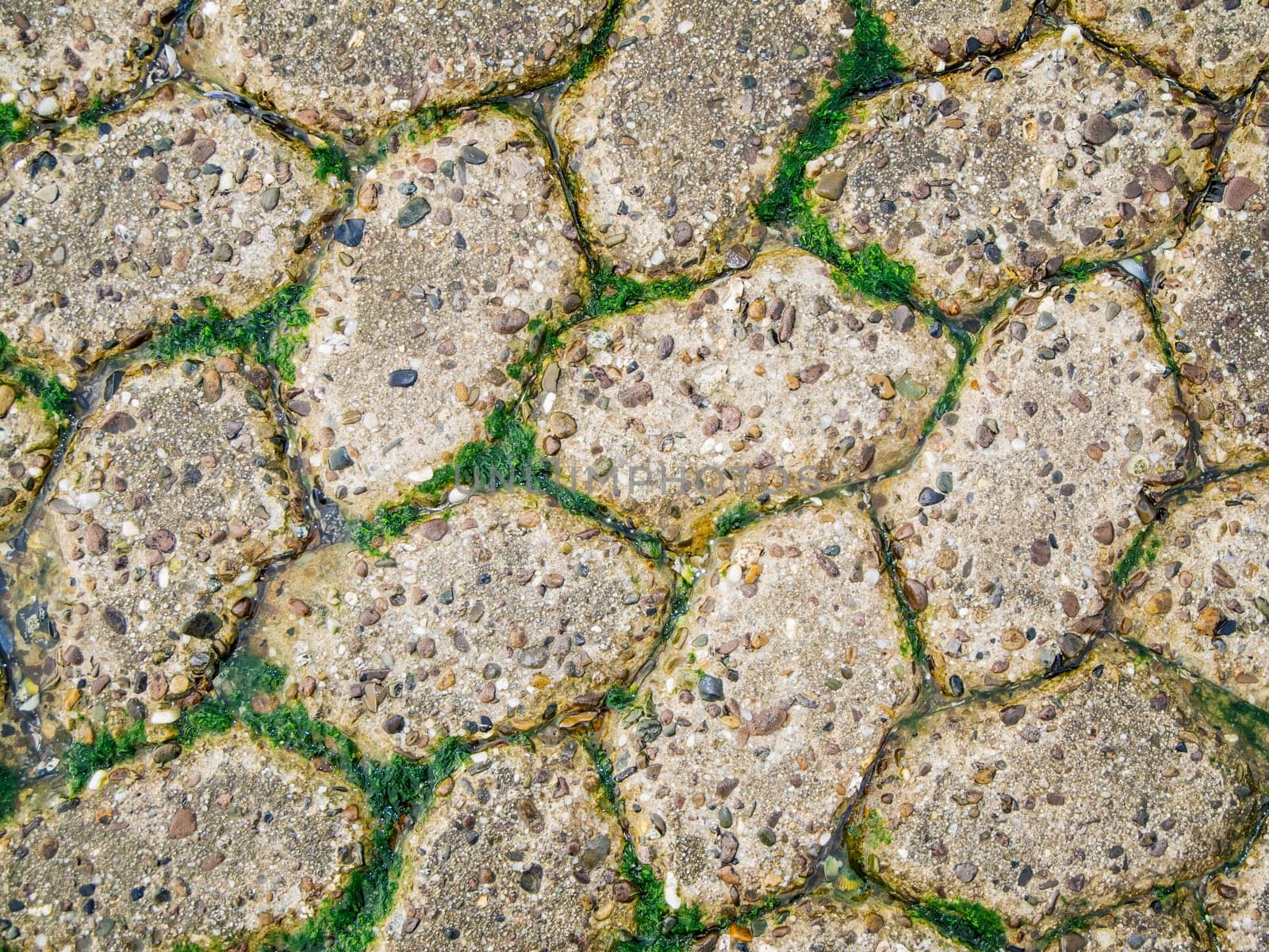 Frame-filling view of rough sidewalk shaped stones with grass growing in between, viewed from above.