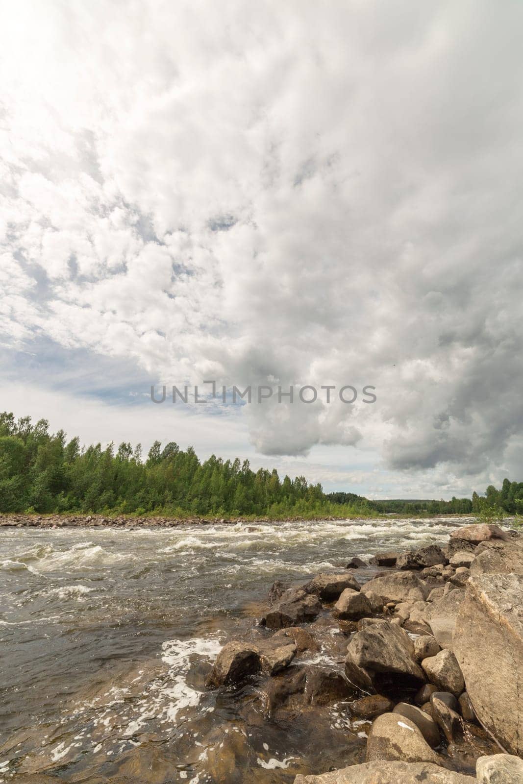 River with Forest and Cloudy Sky.