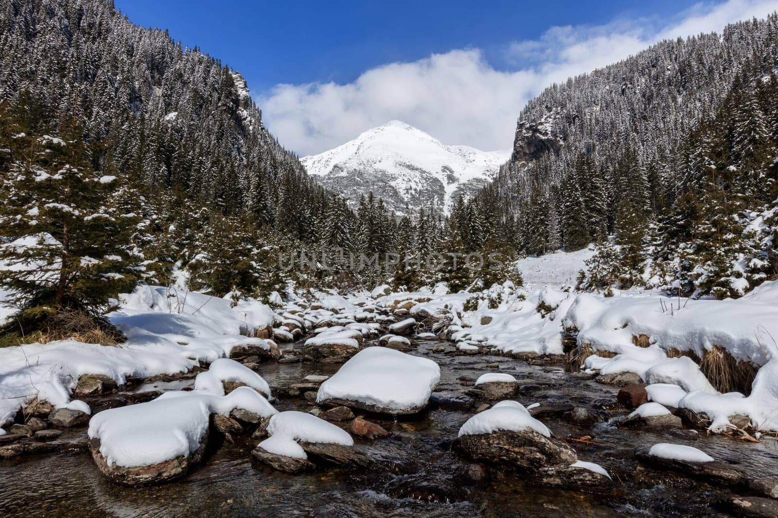 a beautiful river in Fagaras Mountains, Romania
