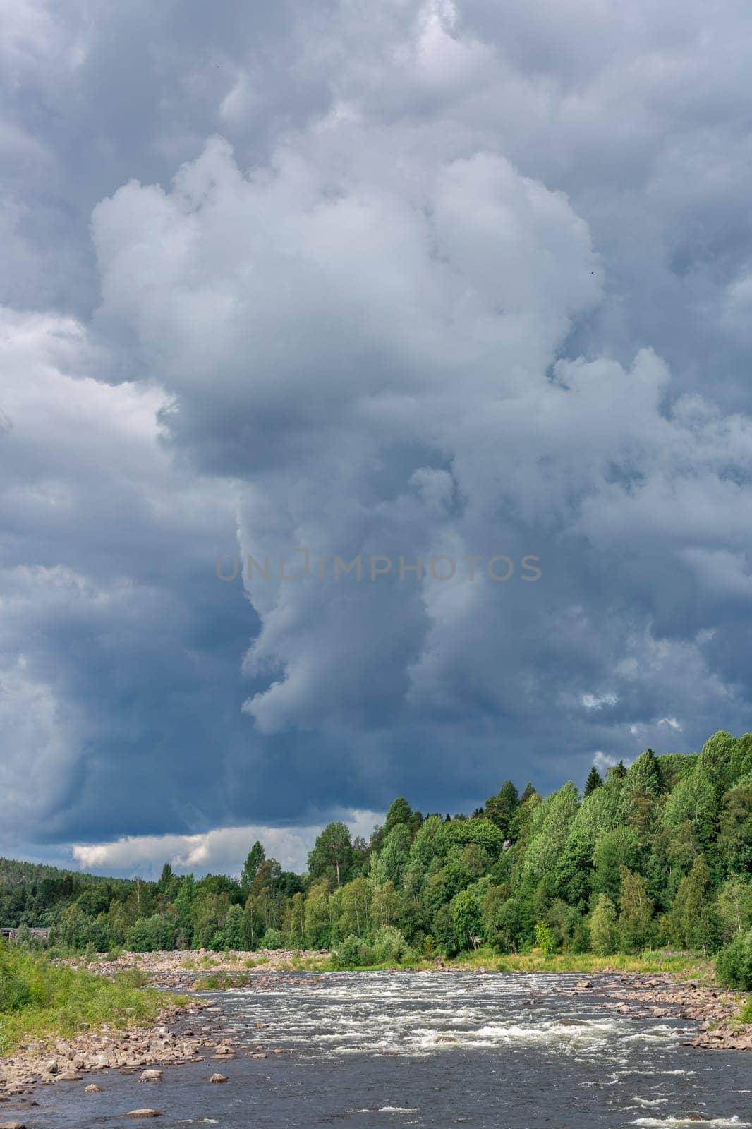River with Forest and Cloudy Sky.