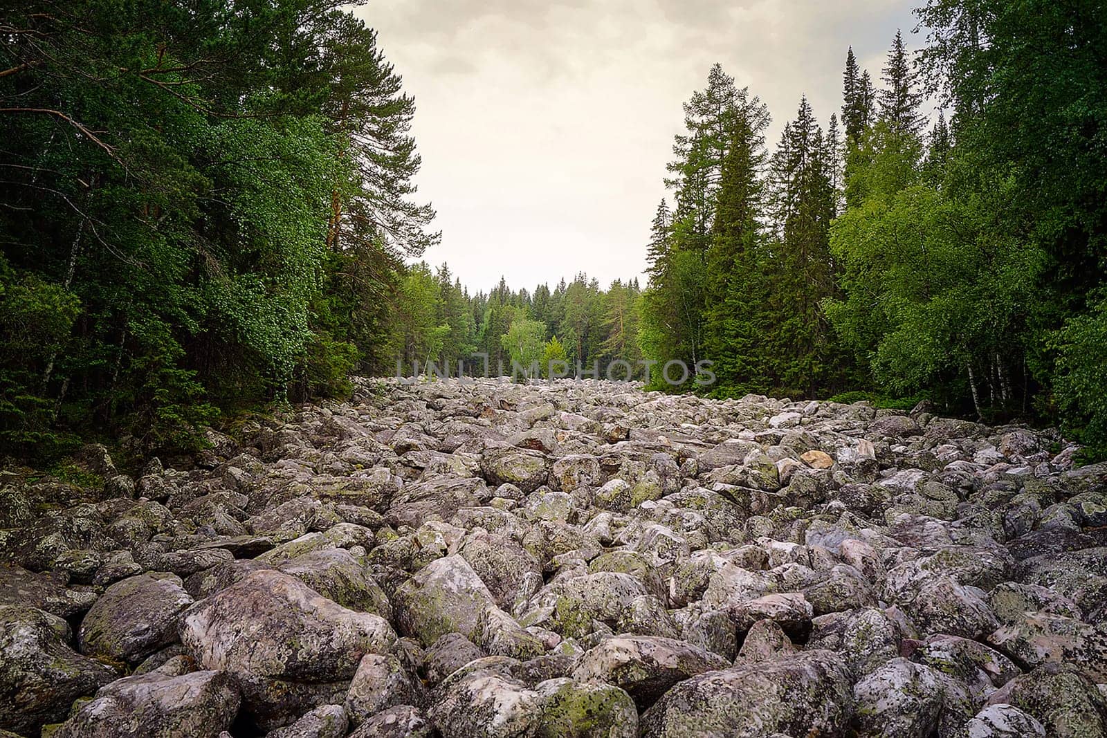 The stone river are the remains of volcanic lava flows, once thrown down by ancient volcanoes, one of the most amazing natural phenomena in the mountains of the Urals.