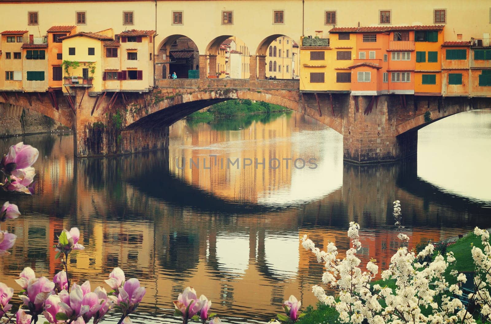 famous bridge Ponte Vecchio close up over river Arno at spring, Florence, Italy, retro toned