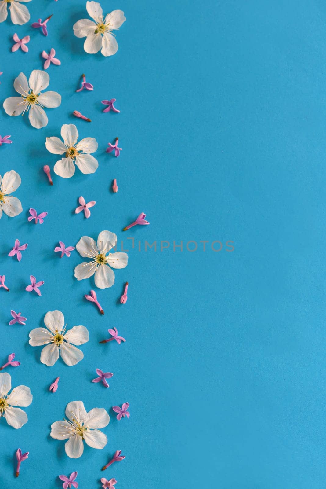 Spring flowers background on blue paper