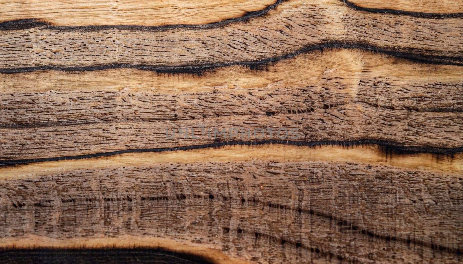 texture of dry wood plane tree without bark