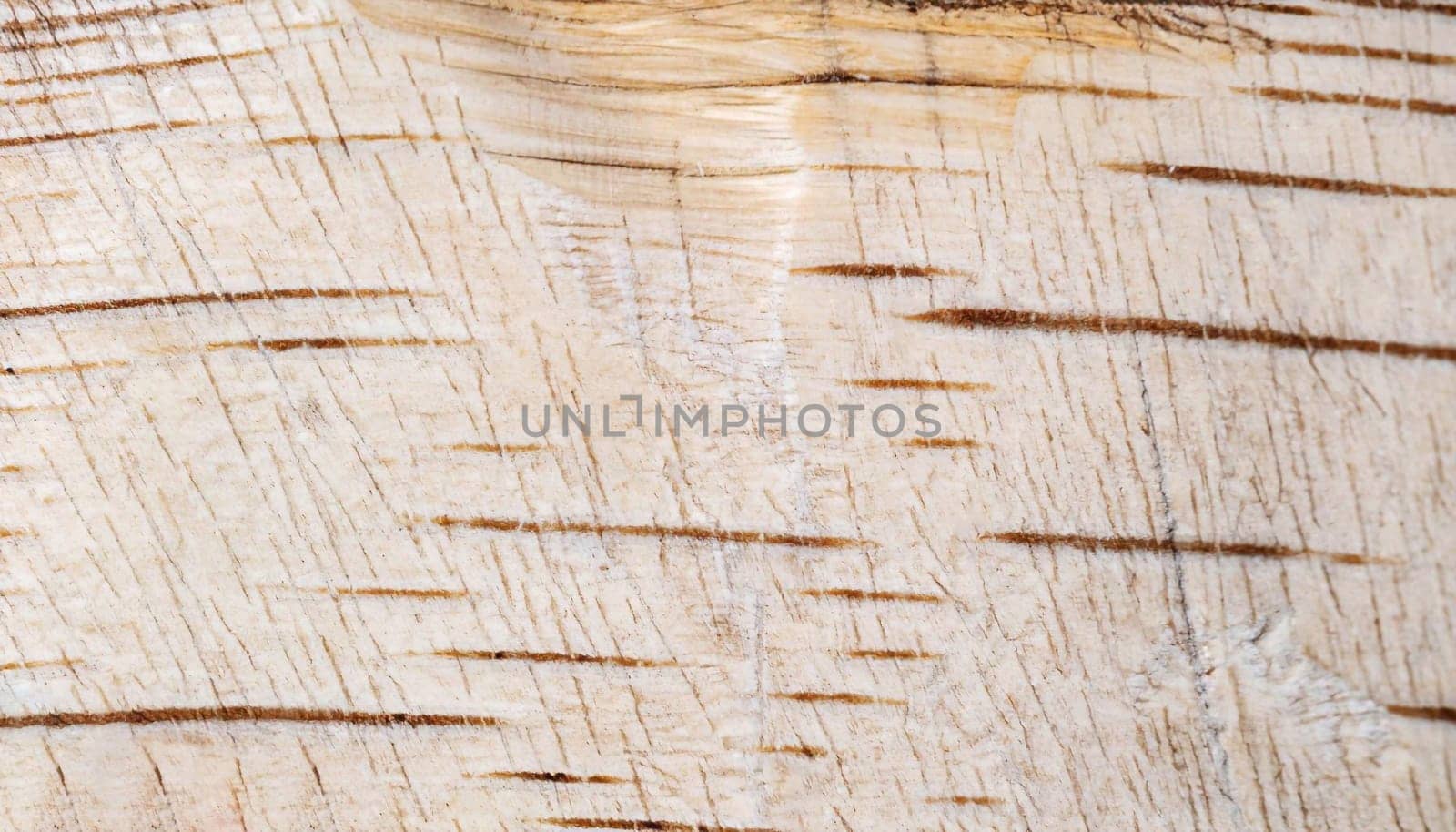 Wooden texture - wood grain