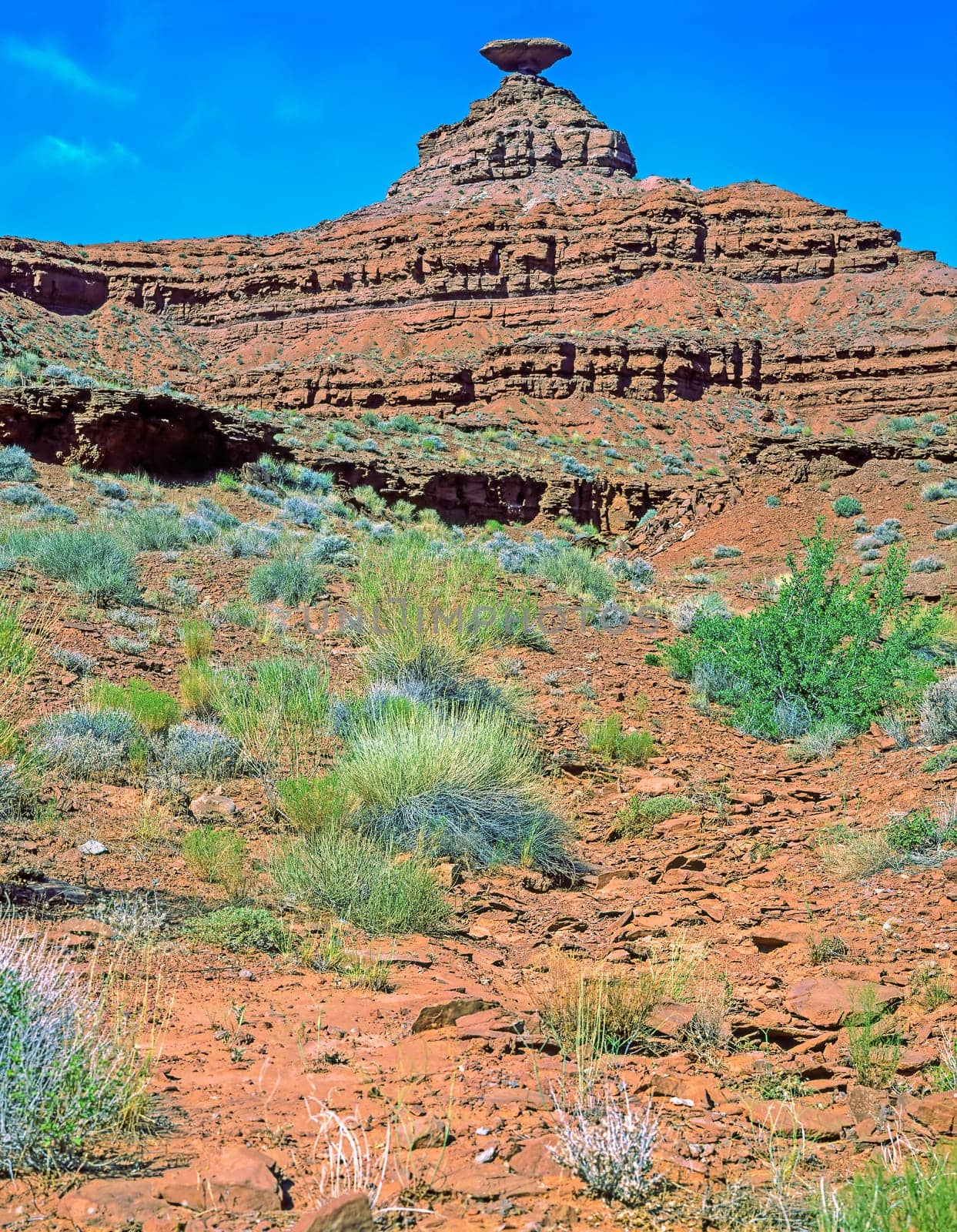 View of Mexican Hat in Utah