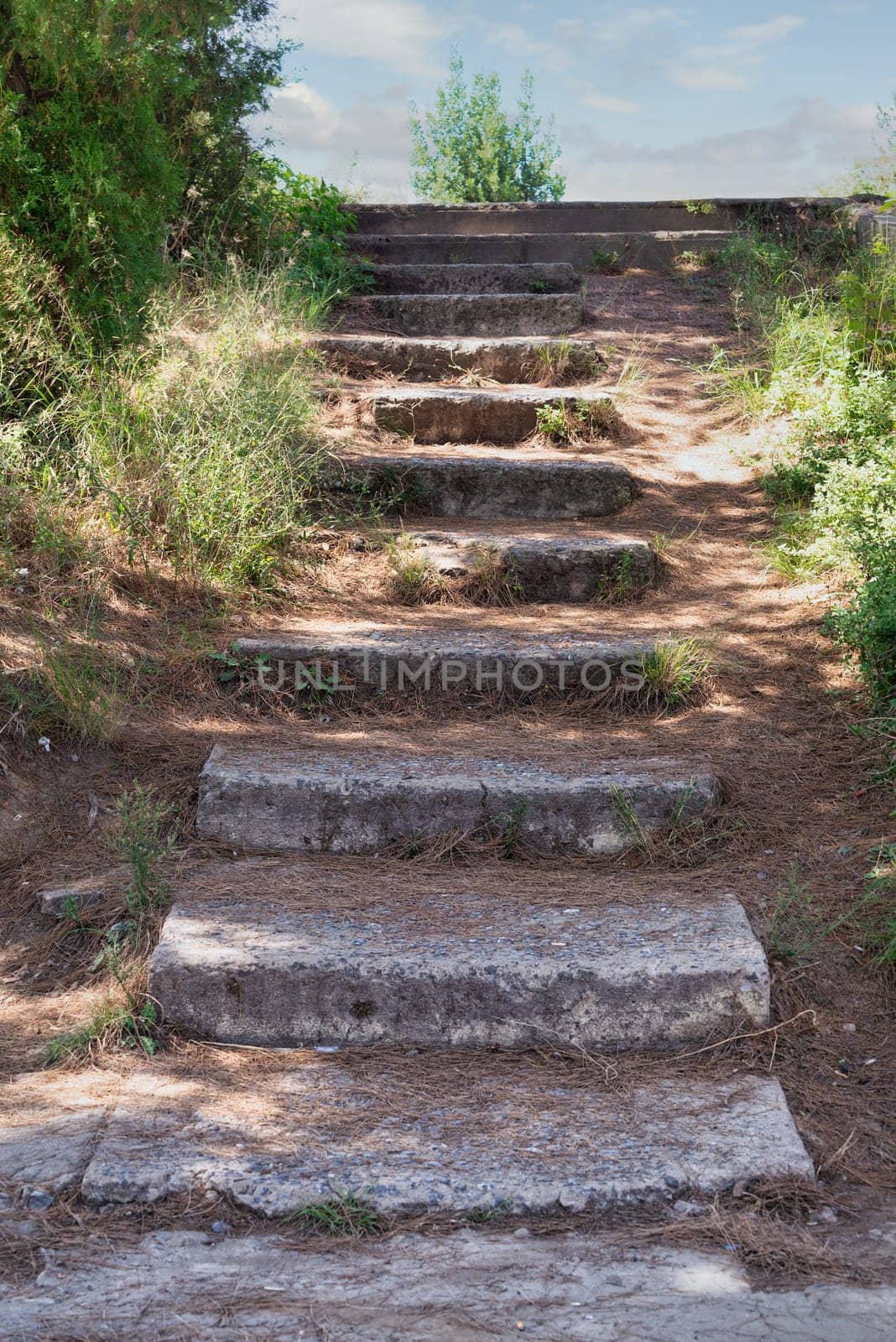 Old stone stairs with green trees and bushes in forest in sunny spring day