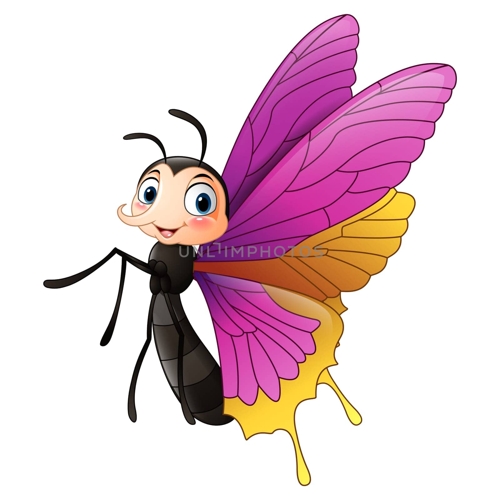 Cute butterfly isolated on white background