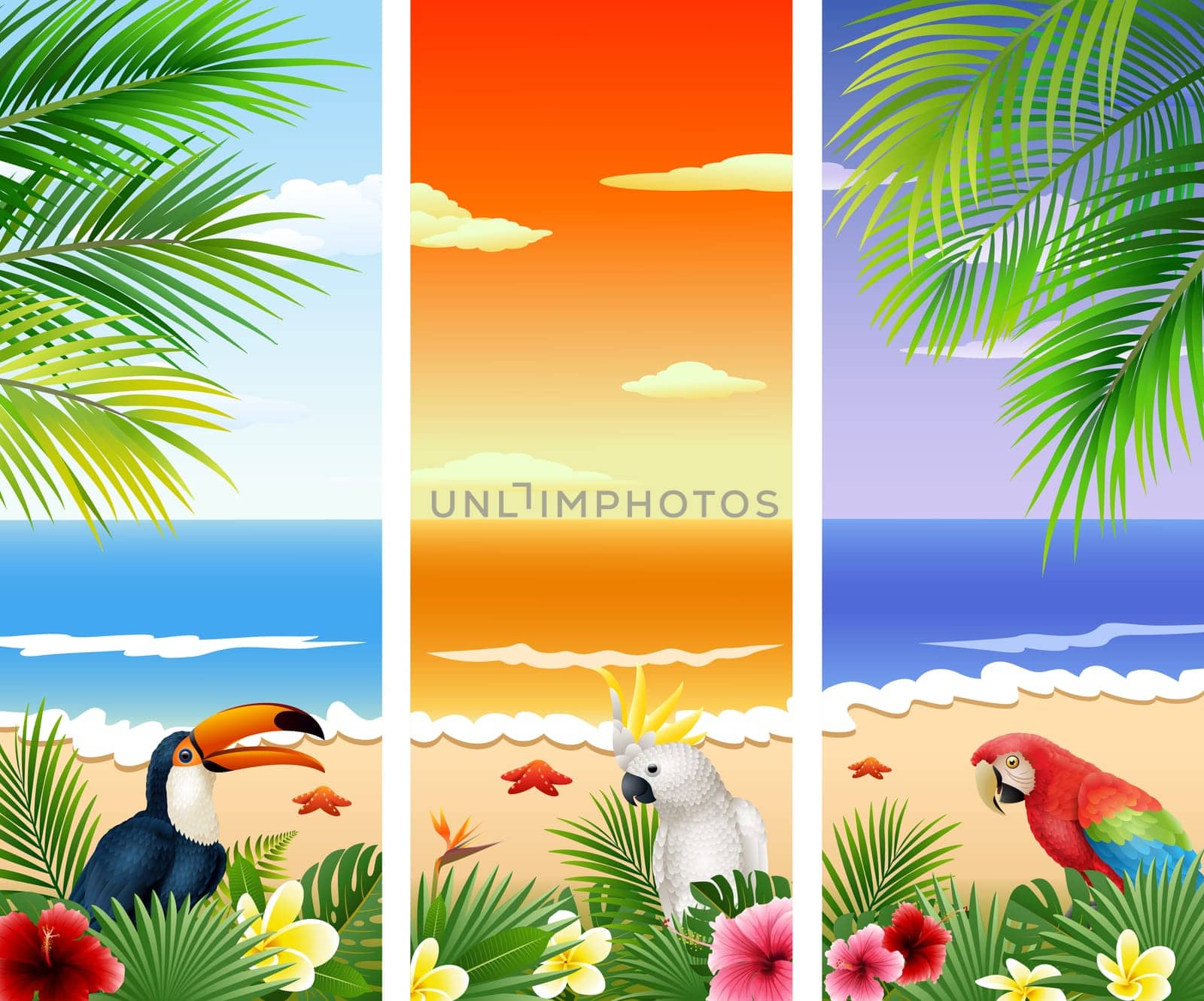 Set of Three tropical beach background