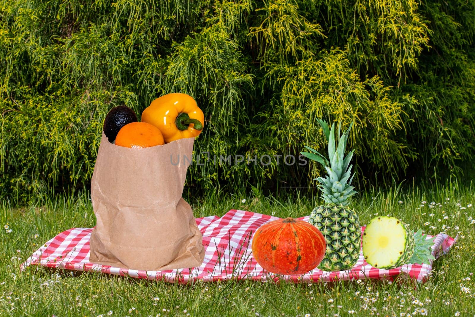 Red Picnic blanket with fresh pineapples, pumpkin and a paper bag with delicious various fruits in the sunlight on a meadow with daisy flowers on a summer day.