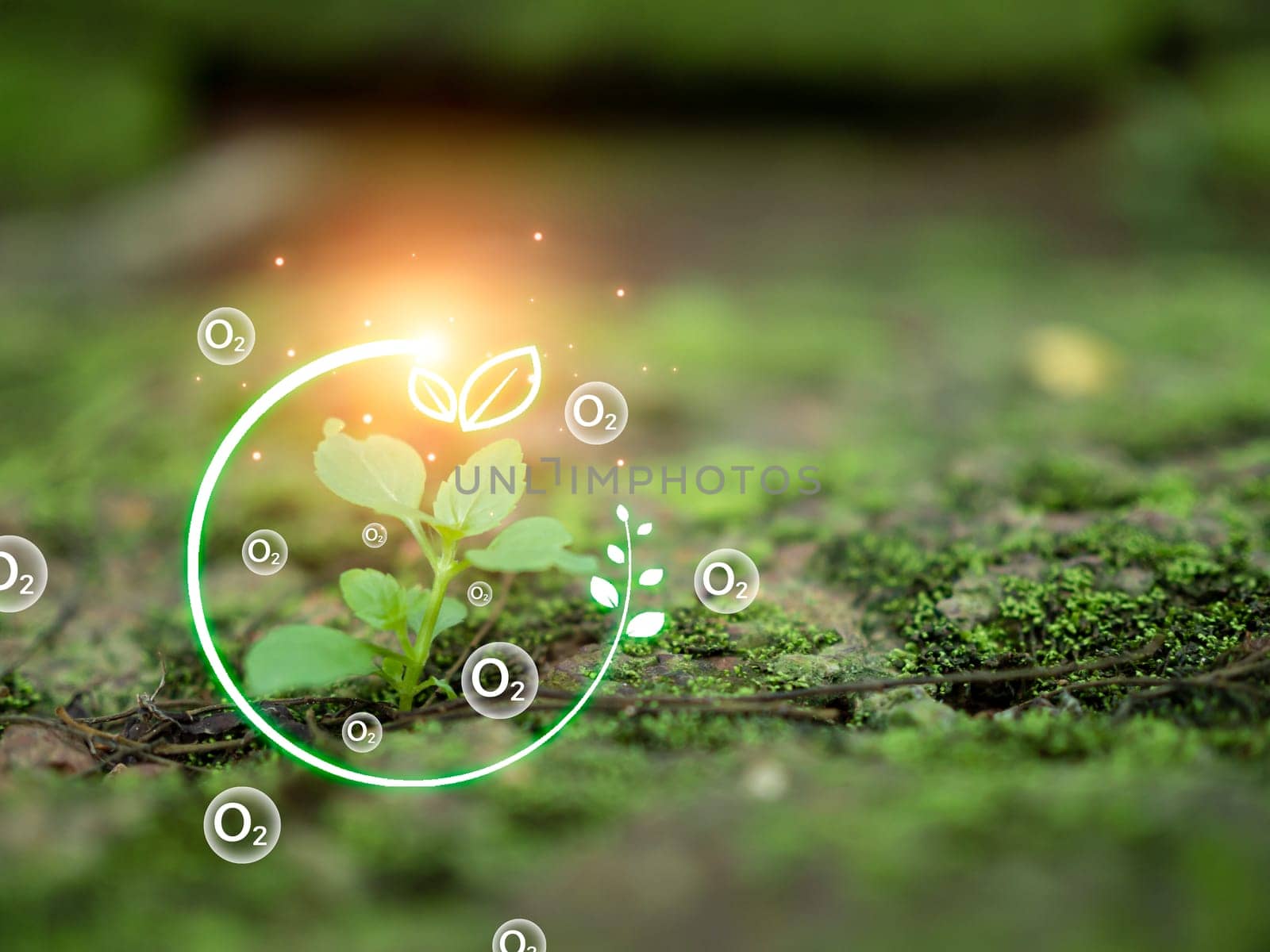 CO2 emission reduction concept, clean and friendly environment without carbon dioxide emissions. Planting trees to reduce CO2 emissions, environmental protection concept.