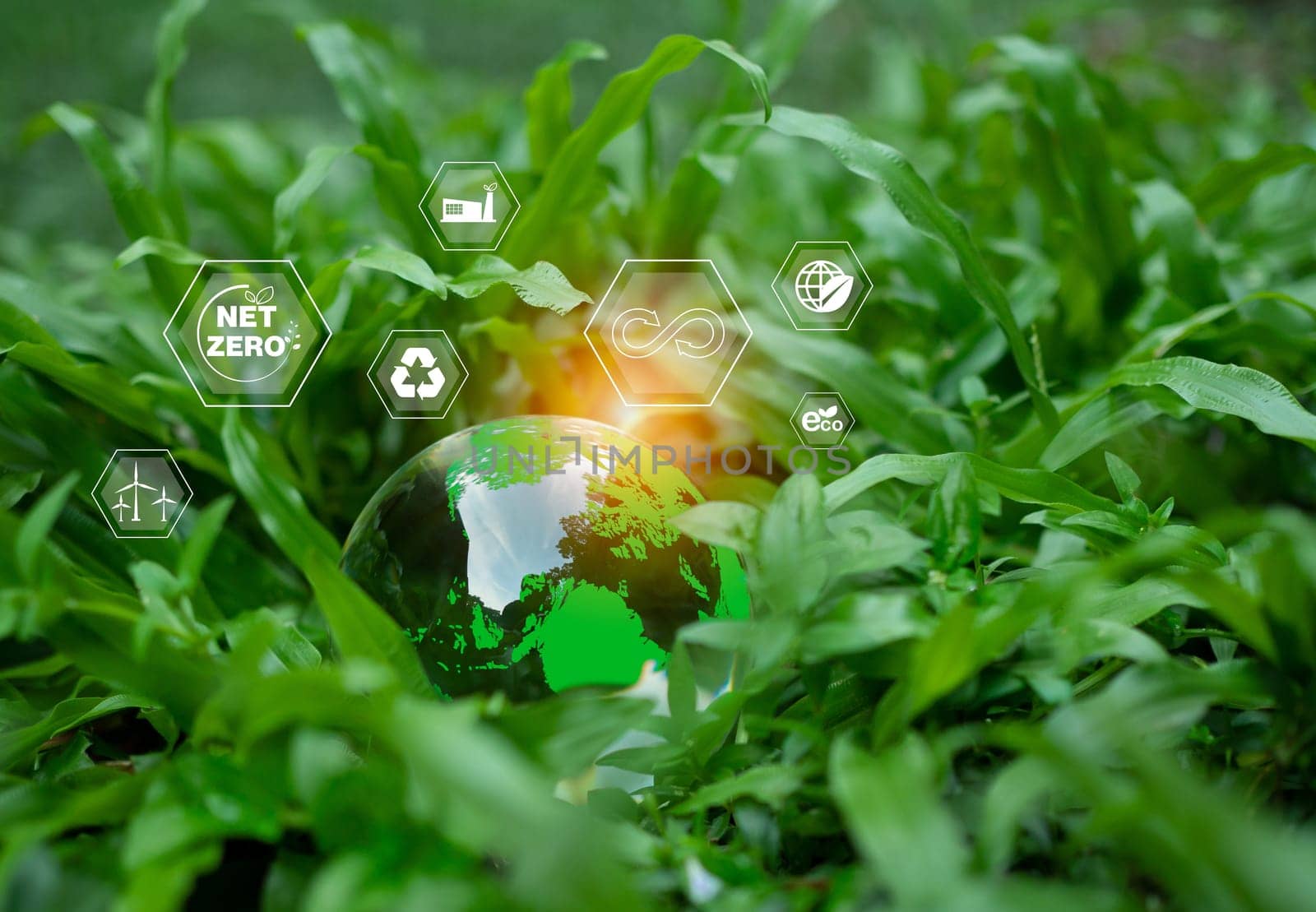 CO2 emission reduction concept, clean and friendly environment without carbon dioxide emissions. Planting trees to reduce CO2 emissions, environmental protection concept.