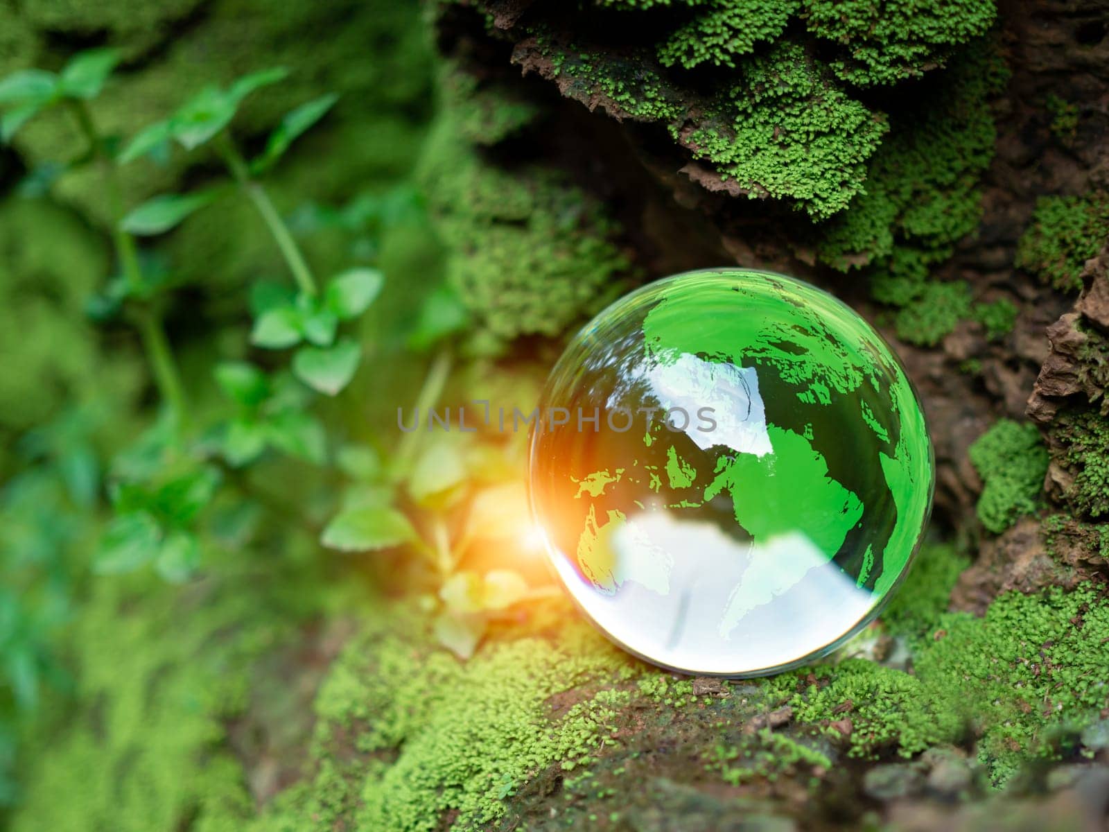 Crystal ball on moss in green forest. Environment concept Ecology and Sustainable Environment of the World. Earth day concept.