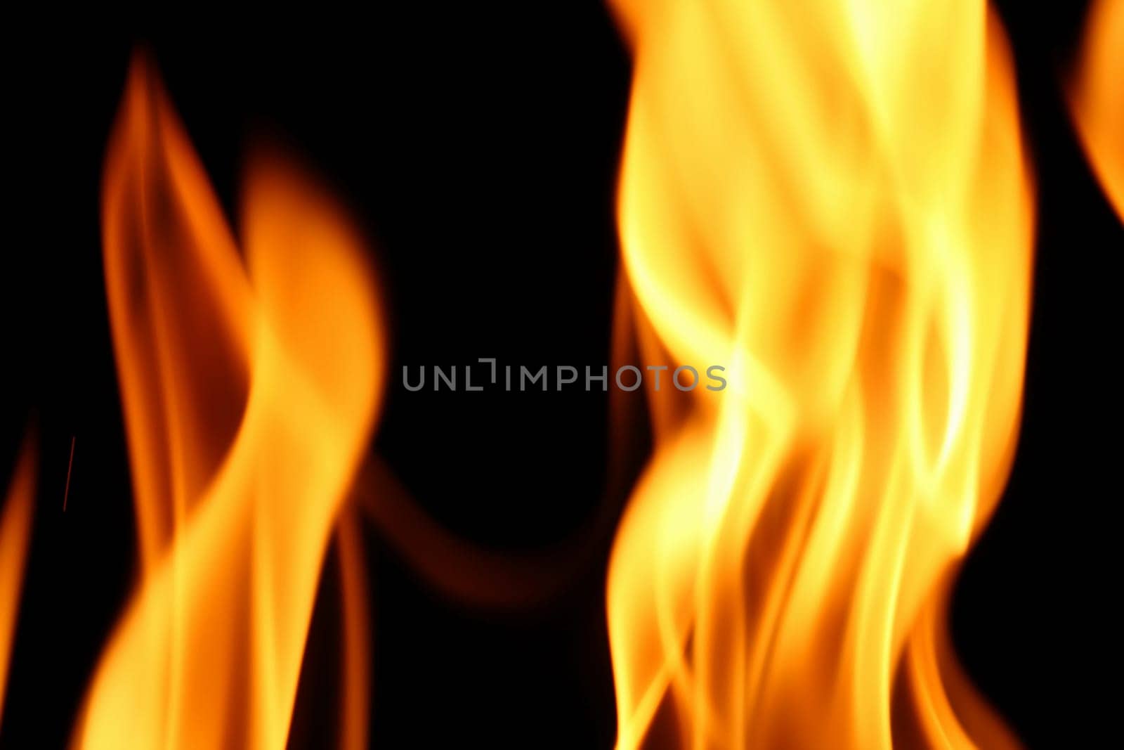 fire flame close up on black background