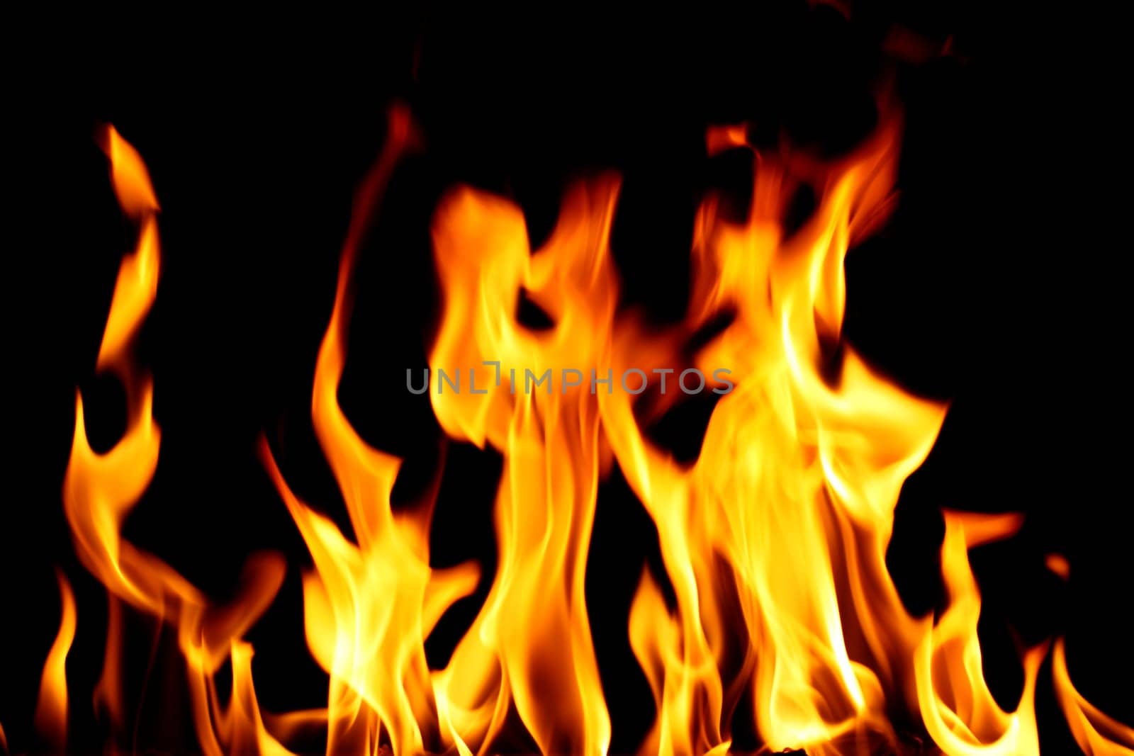 inferno flame fire on black background close up
