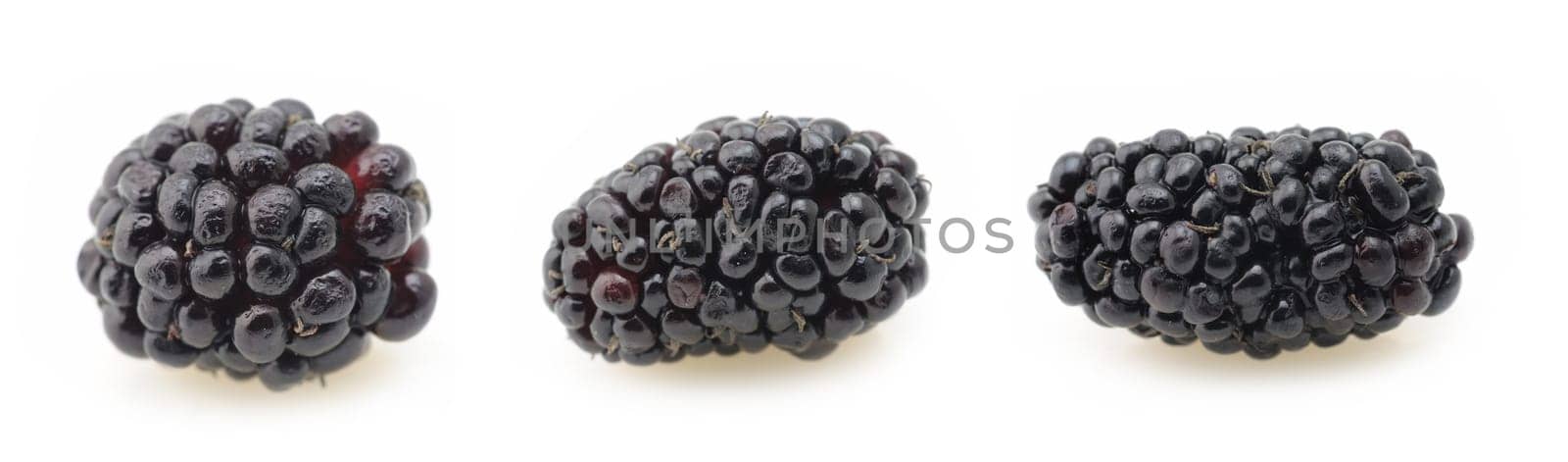 Close up of blackberries in isolated white background by dpcrestock