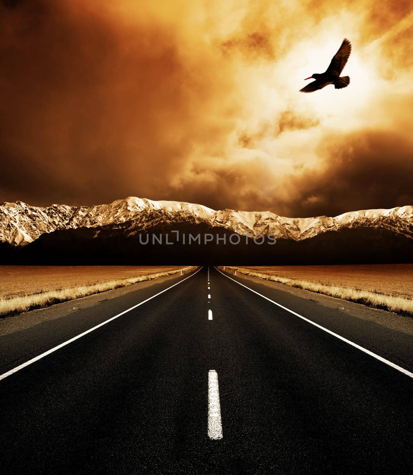 The open road and the soaring bird