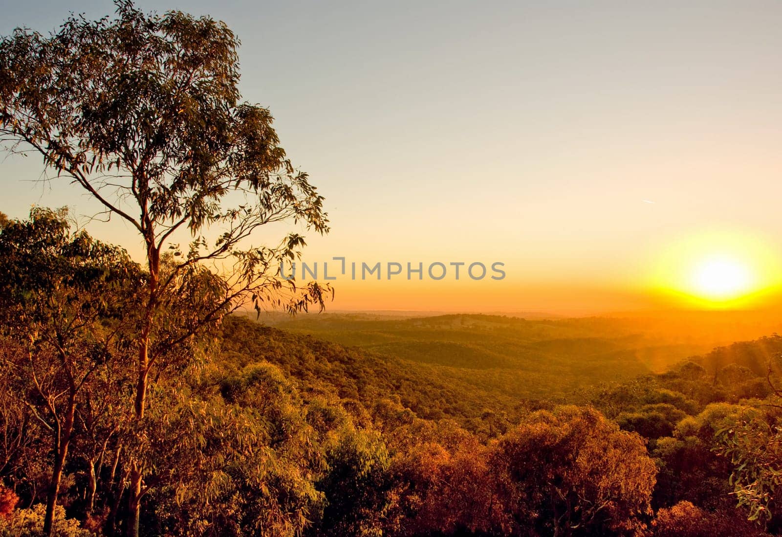 Sunset in the bush in South Australia