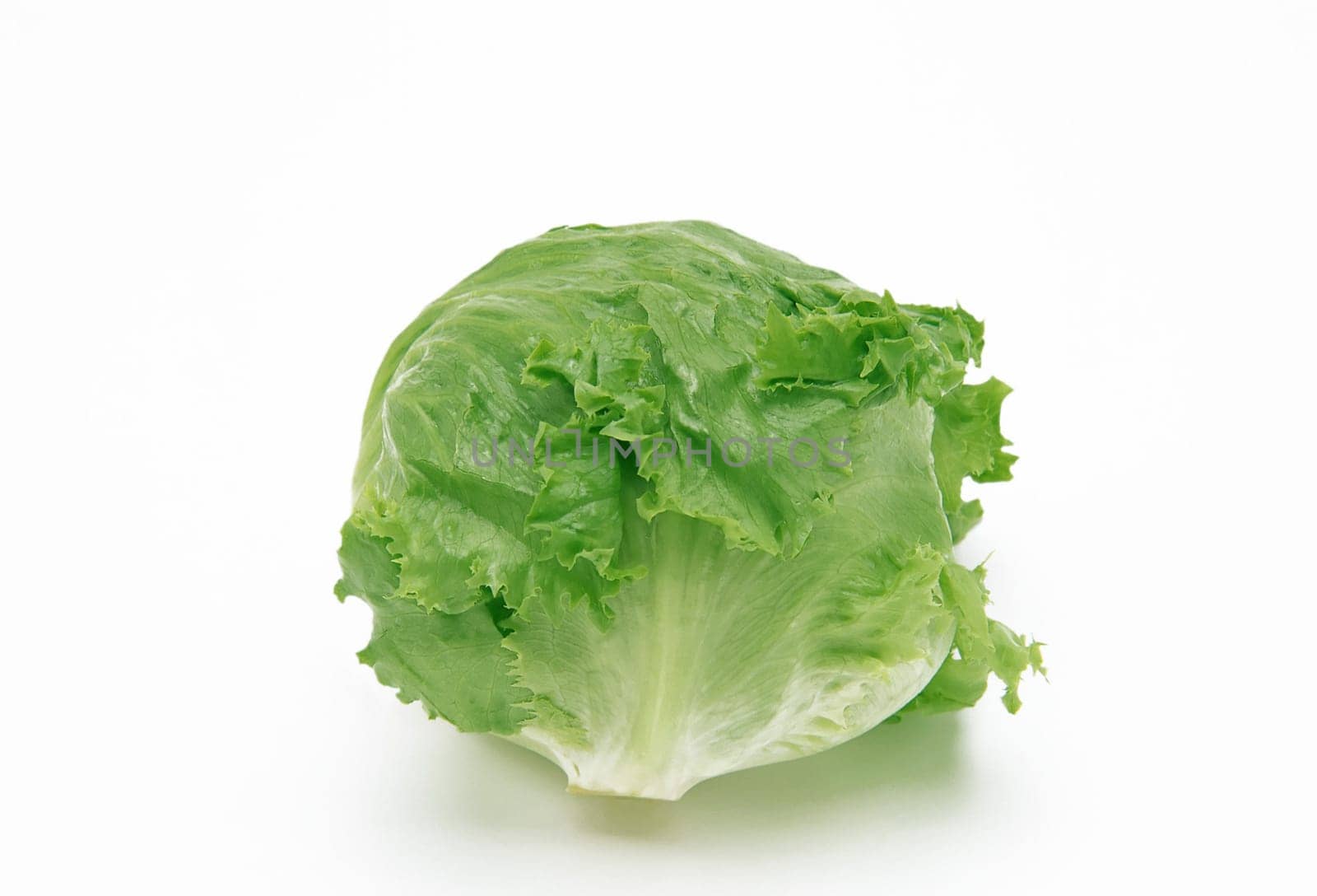 Green lettuce on white background