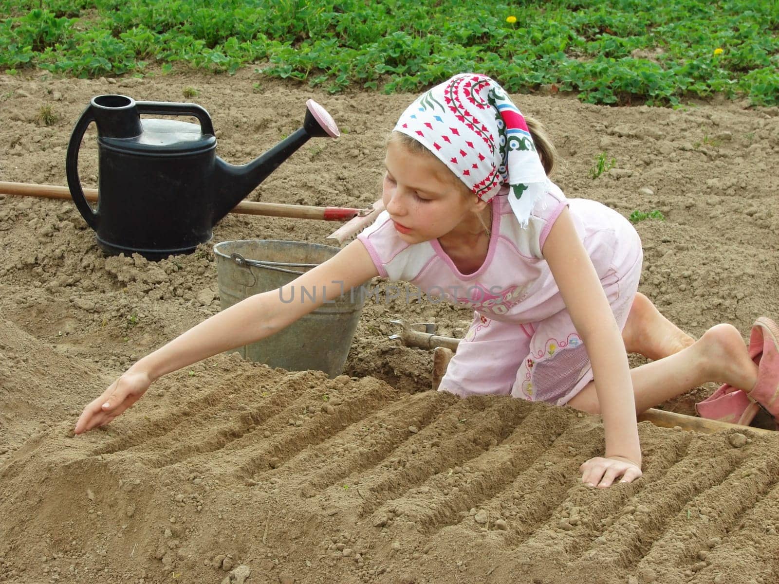 child preparing vegetable bed to sowing