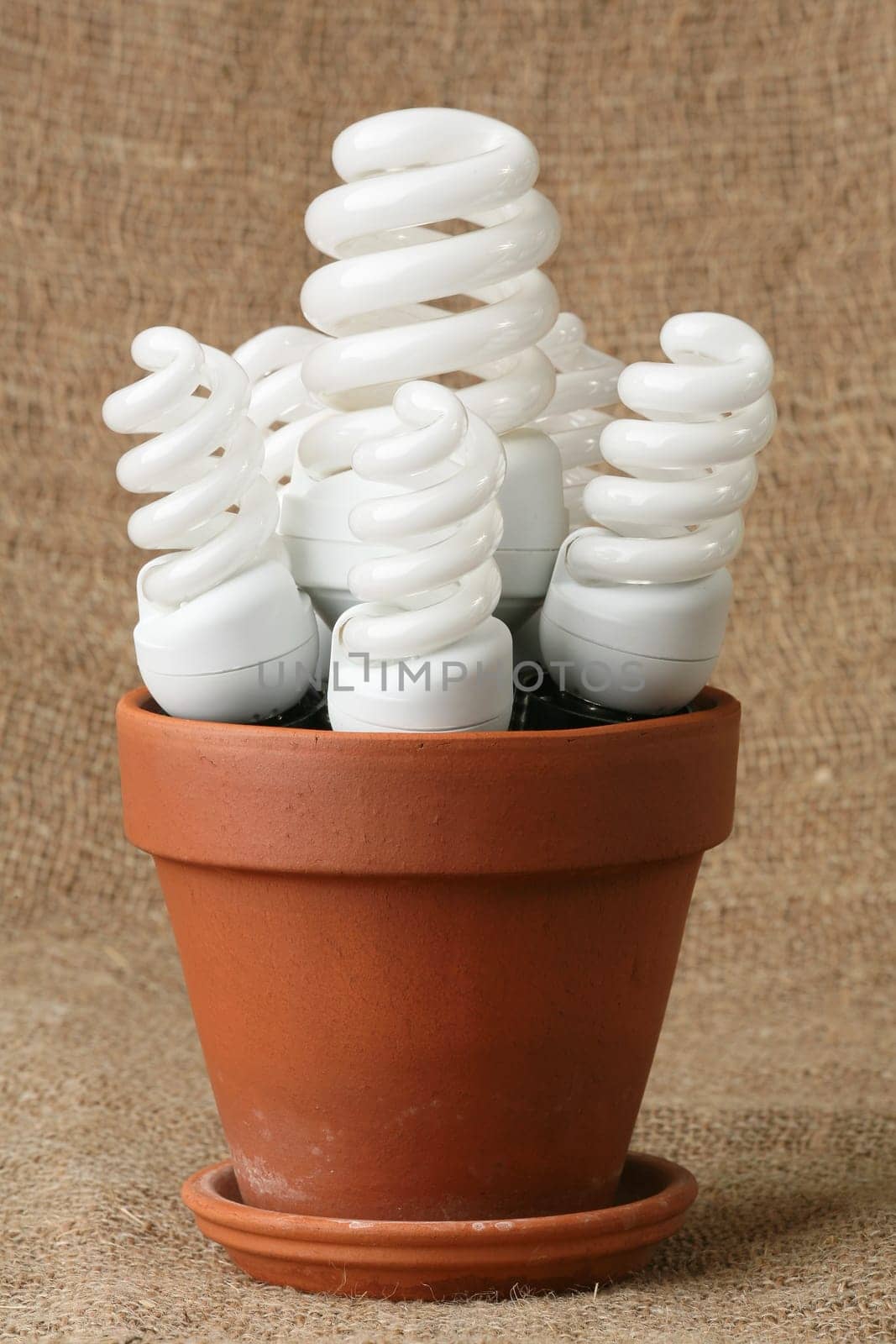 Power saving up bulbs in a flowerpot