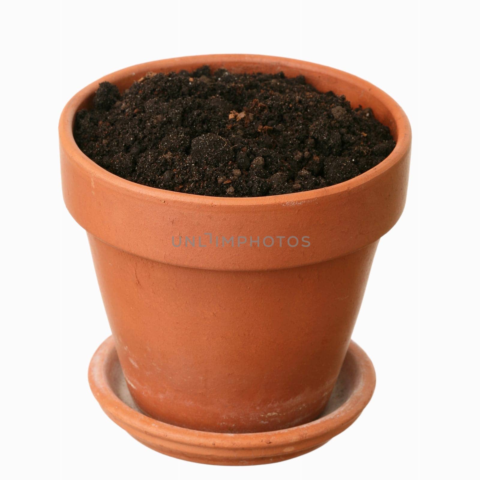 Fresh ground in a flowerpot on a white background