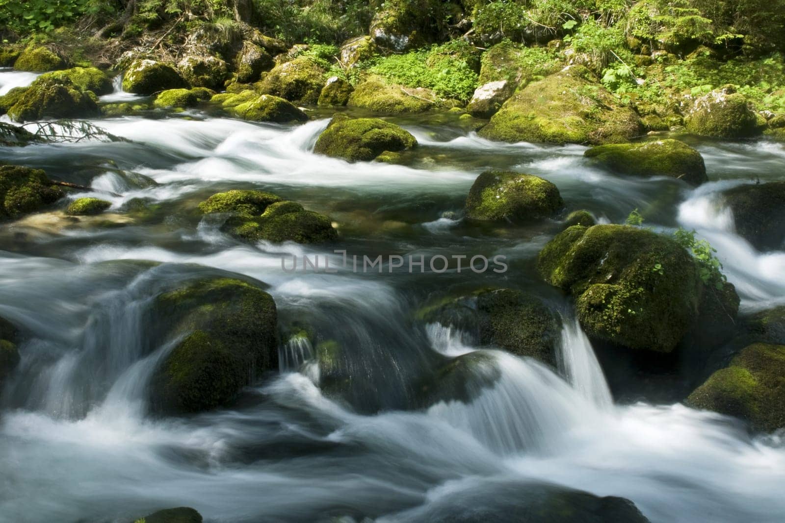 rapids with stones and moss in austria