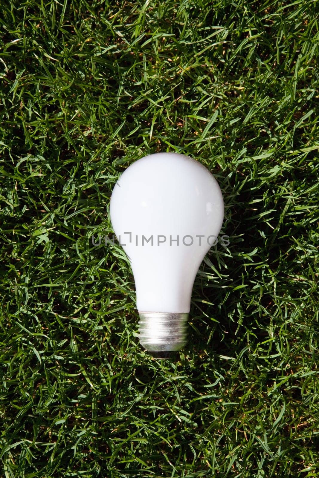 Incandescent light bulb laying on green grass
