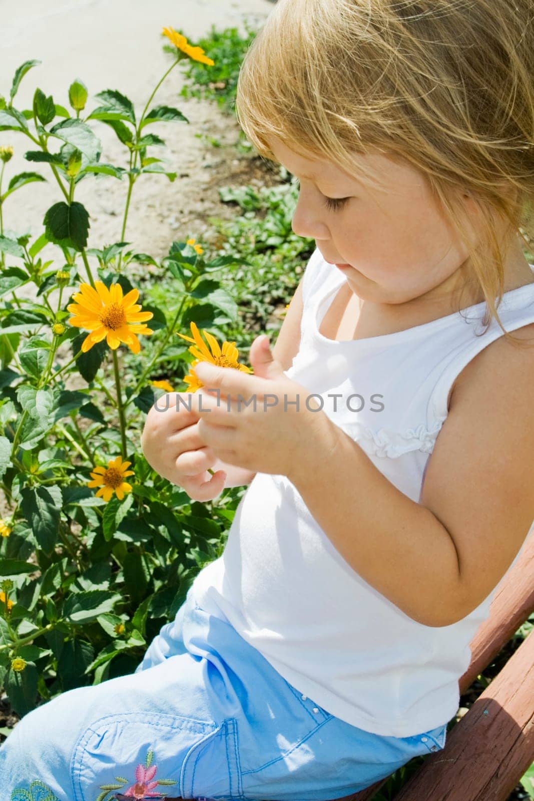 Small girl holds flower and sits on the bench in the park