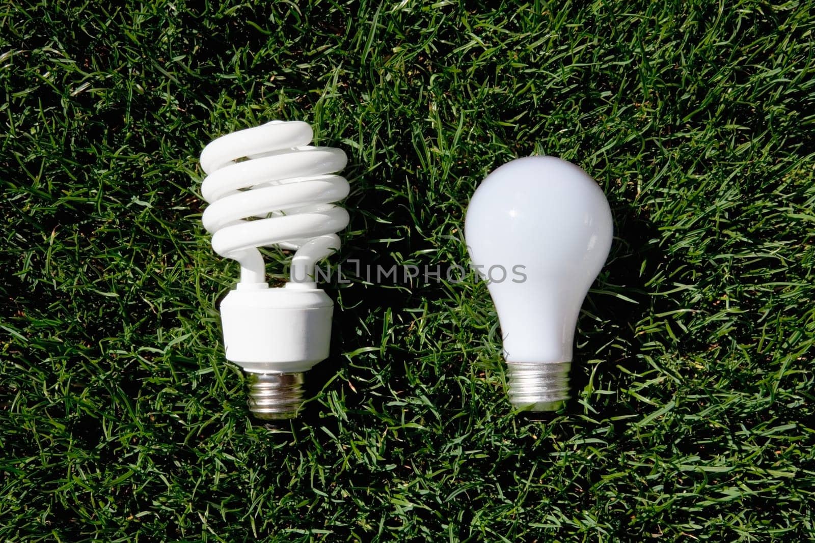 Energy Saving Light Bulb and Incandescent Bulb laying on green grass