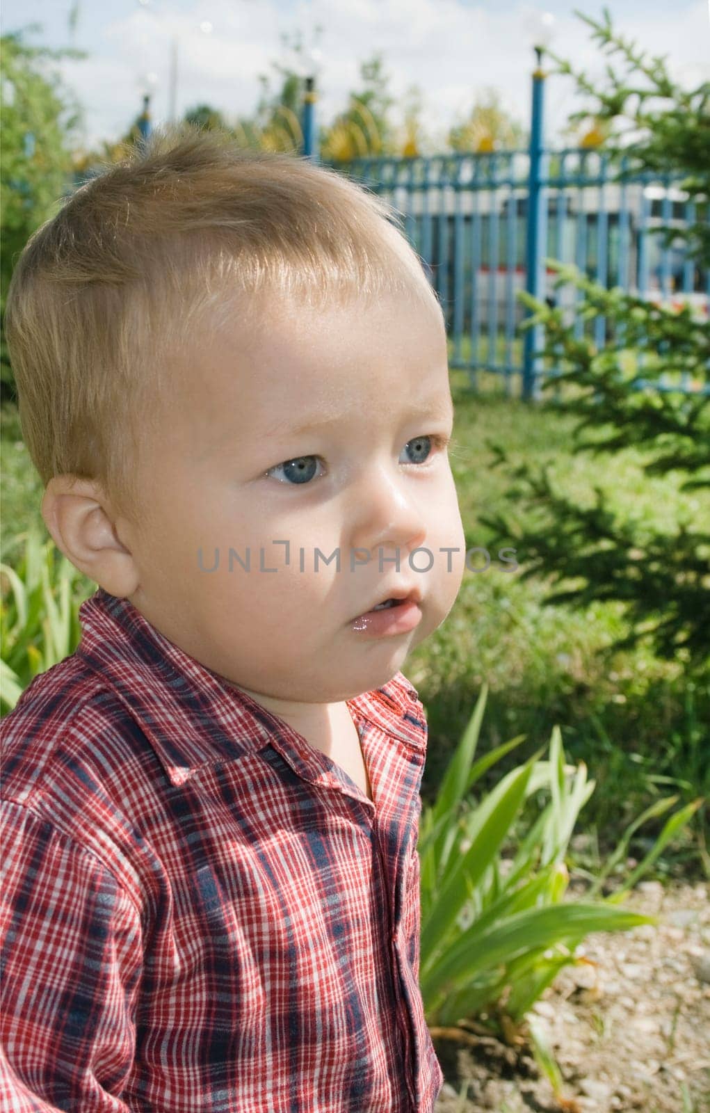Portrait little boy, which goes for a walk in the park