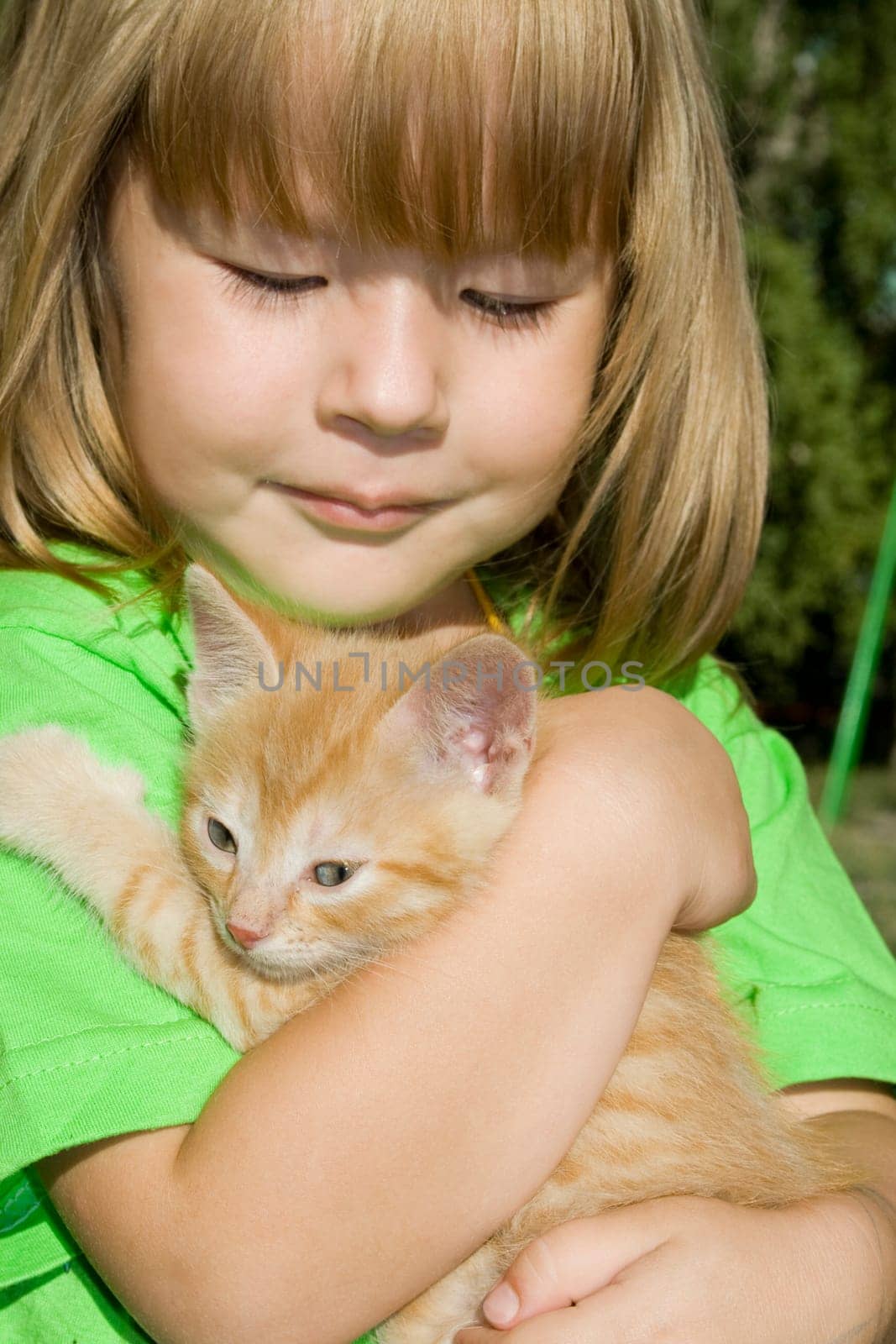 Small girl embraces by hands kitten