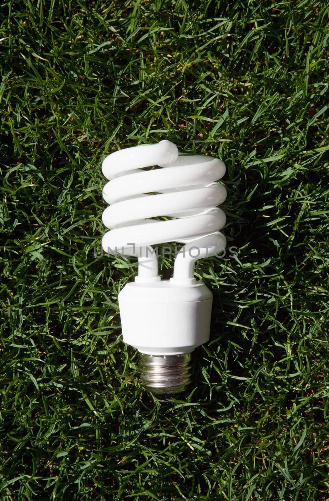 Energy saving light bulb in green grass
