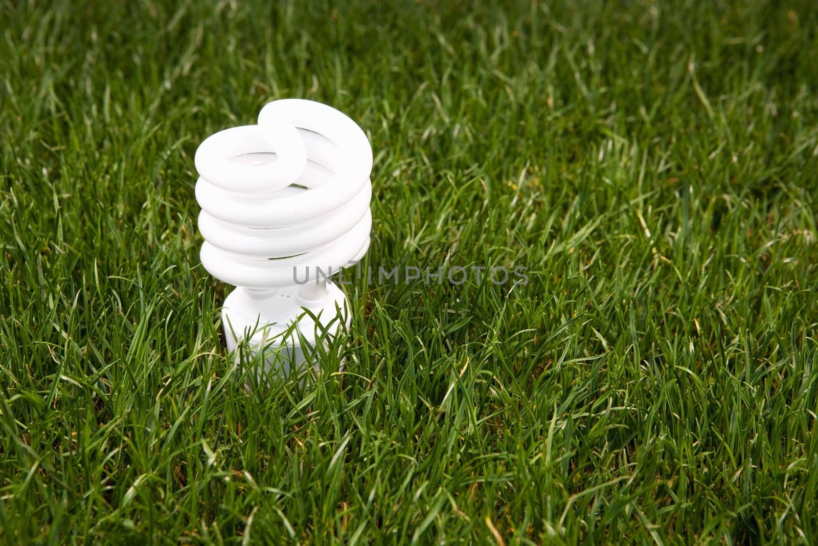 Energy saving light bulb in green grass