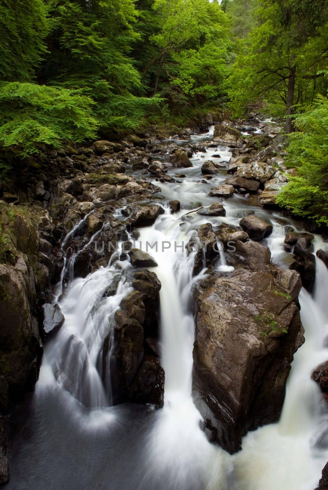 A view of the falls at the Hermitage, Dunkeld, Perthshire.