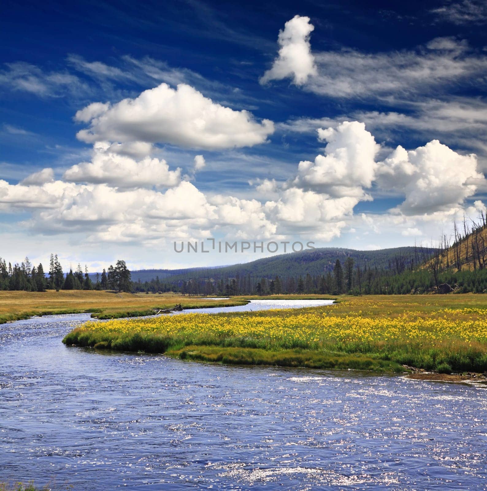 The scenery of Yellowstone National Park in Wyoming