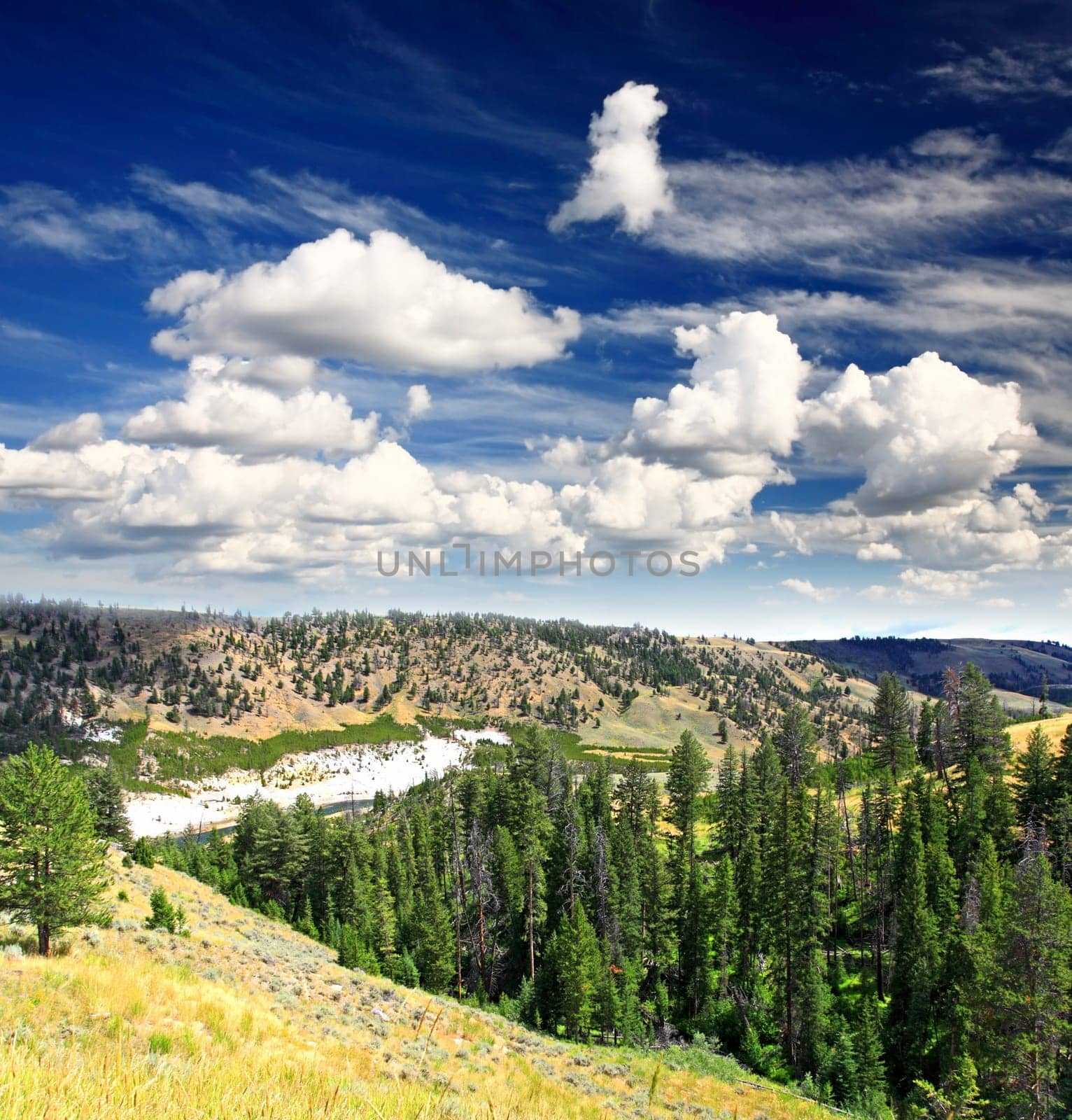 The scenery of Yellowstone National Park in Wyoming