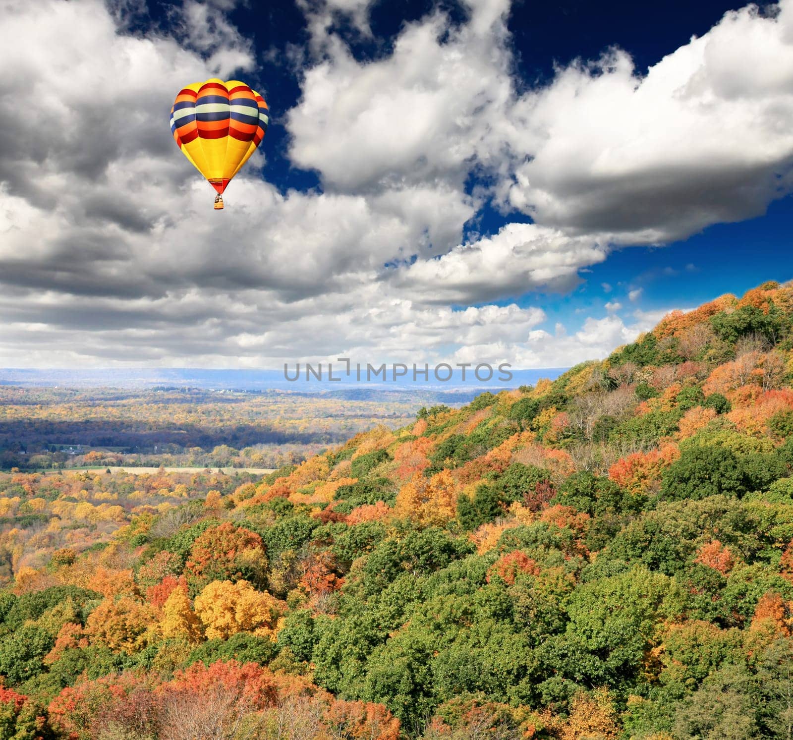 The foliage scenery from a highway overlook in New Jersey