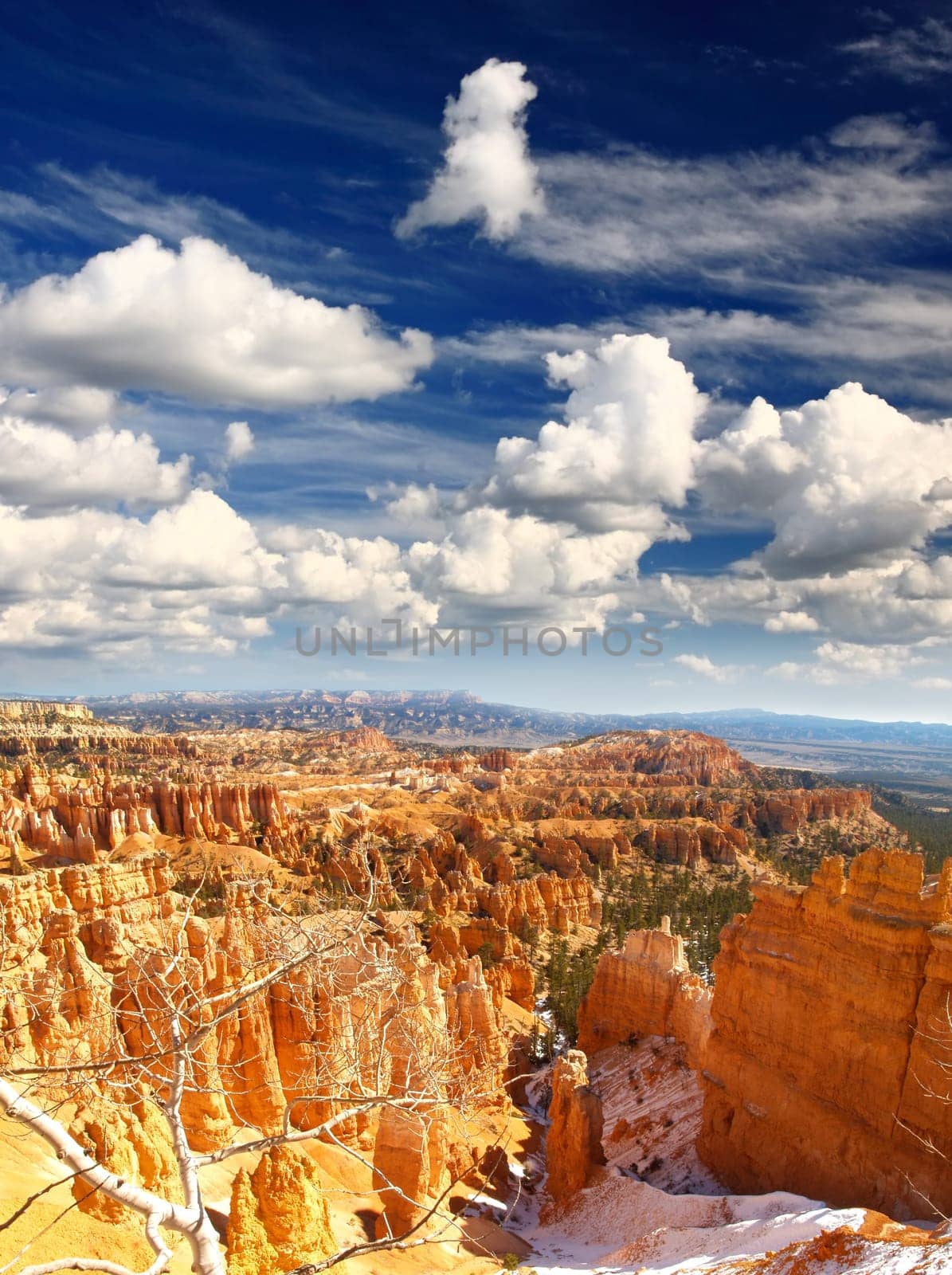 The Bryce Canyon National Park in Utah USA