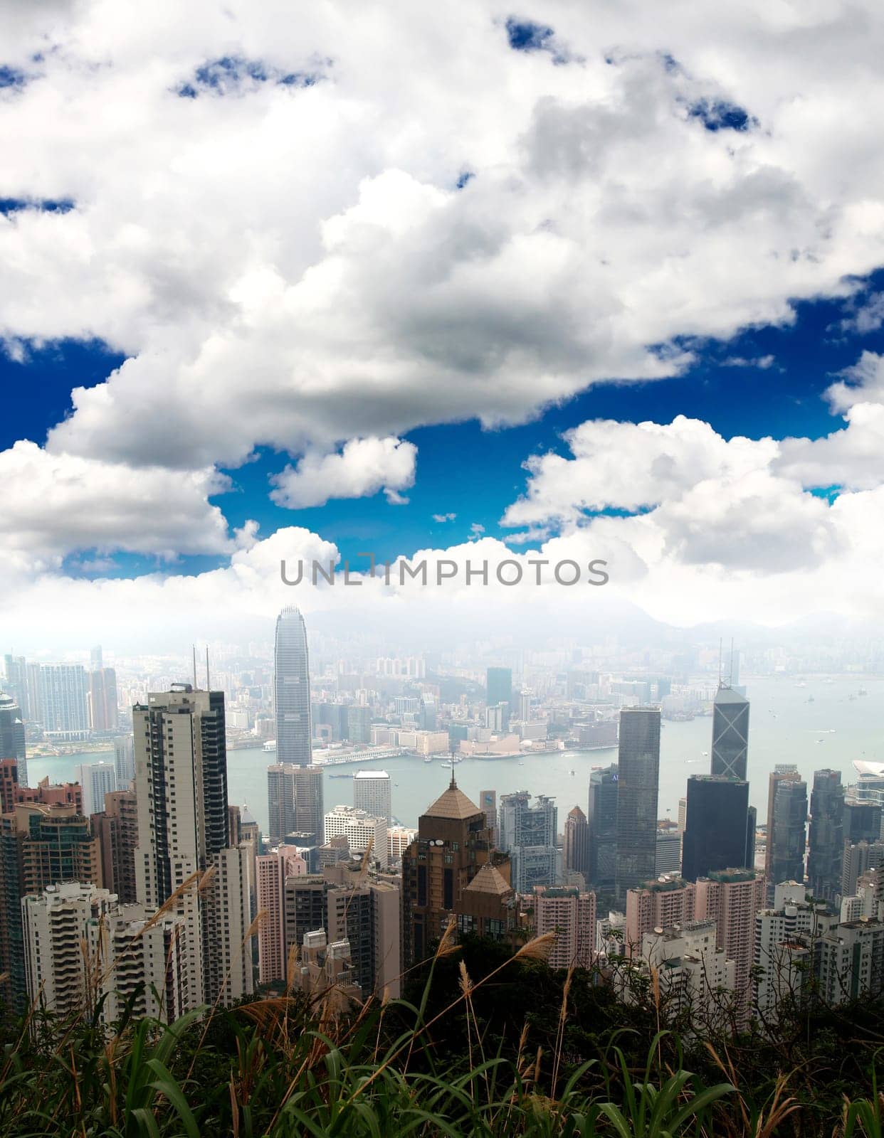 The Hong Kong Skyline from hill top