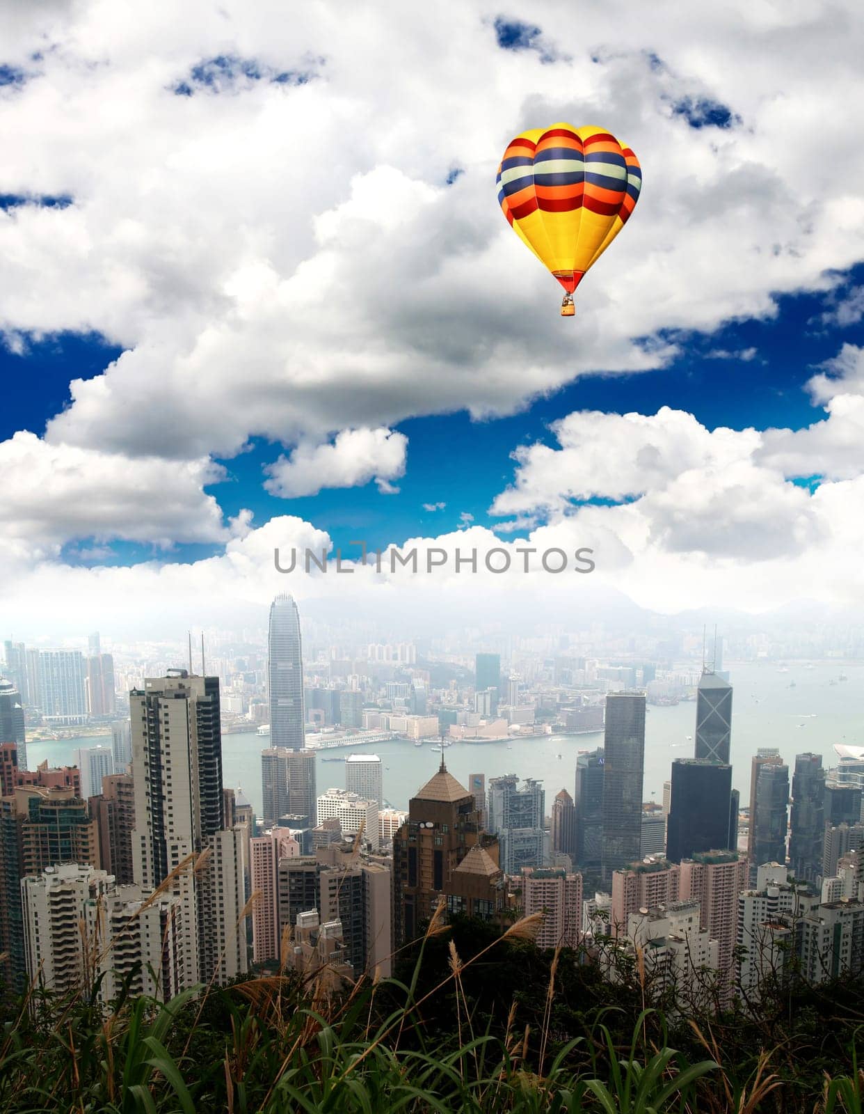 The Hong Kong Skyline from hill top