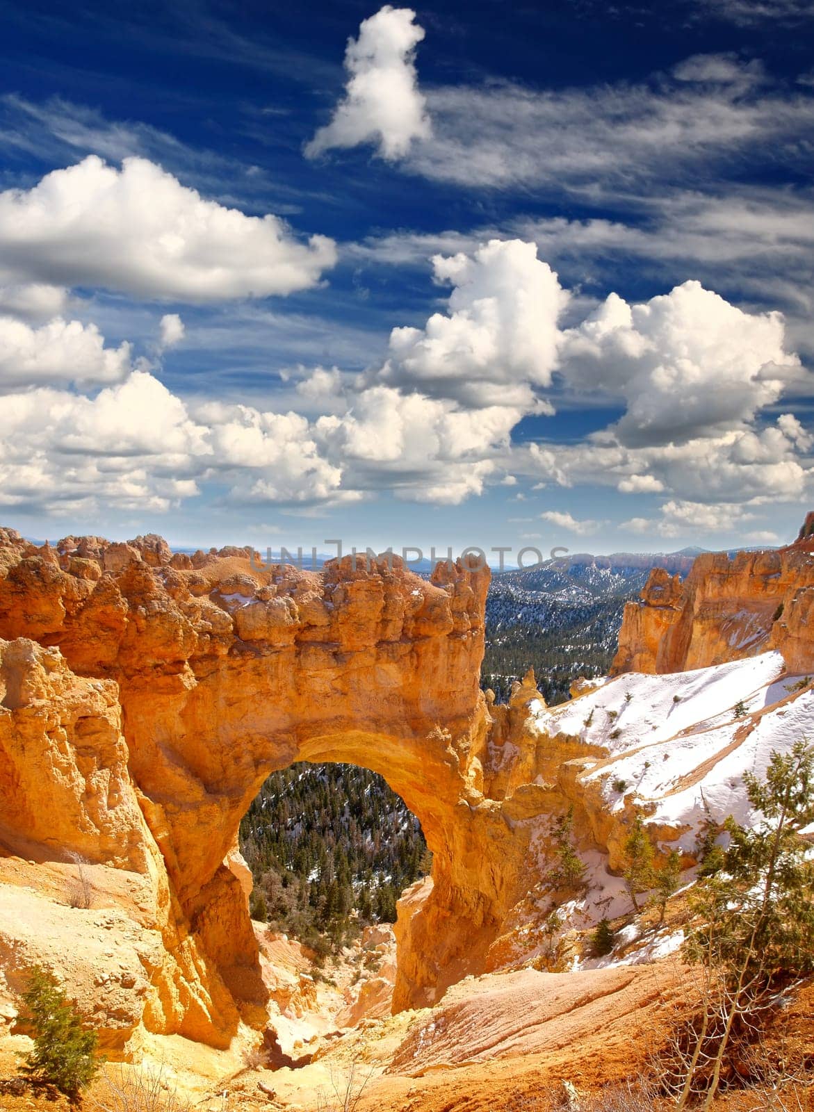 The Bryce Canyon National Park in Utah USA