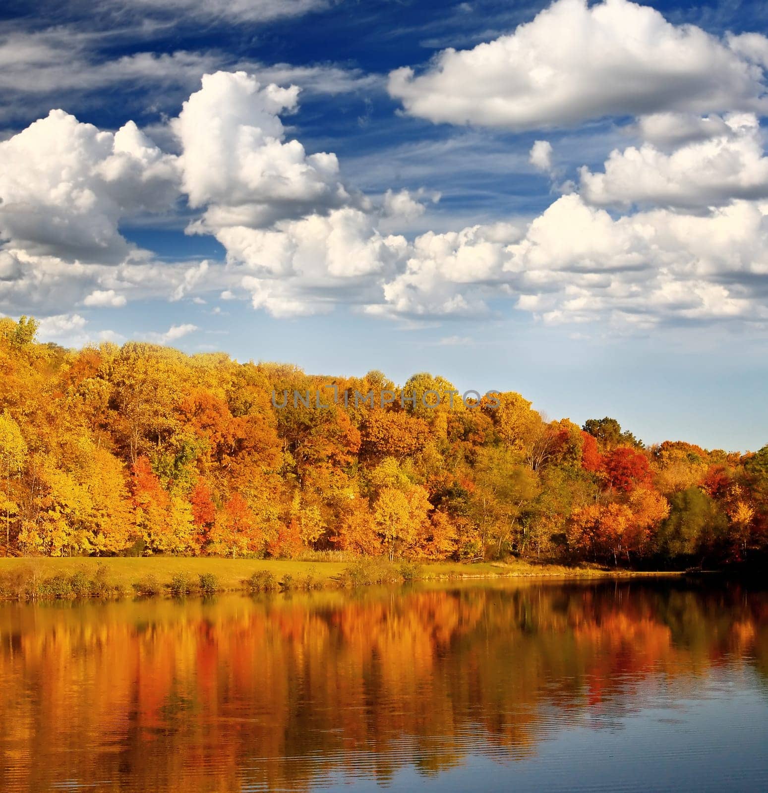 The foliage scenery from a highway overlook in New Jersey