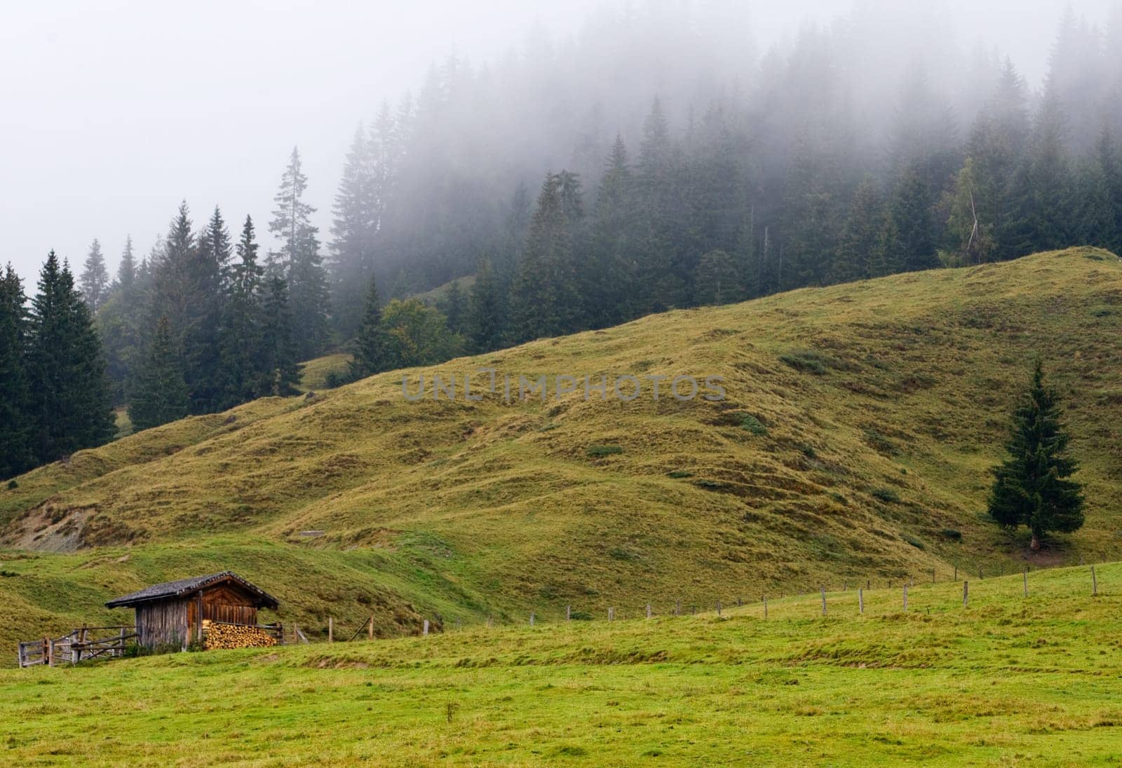 Landscape under the fog near Maria Alm, Salzkammergut, Austria
